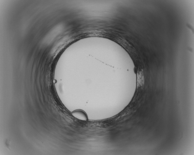 X0000100770291200807101758