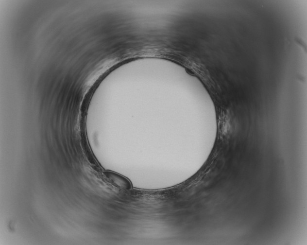 X0000100770292200807101758