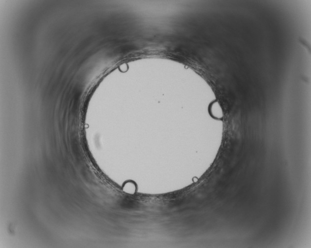 X0000100770293200807101758