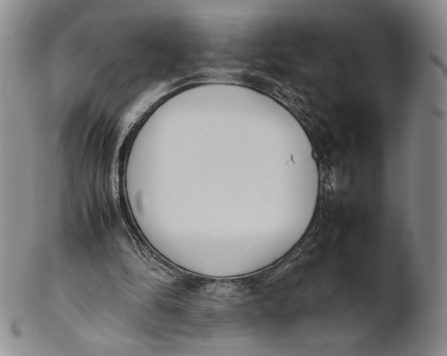 X0000100770294200807101758