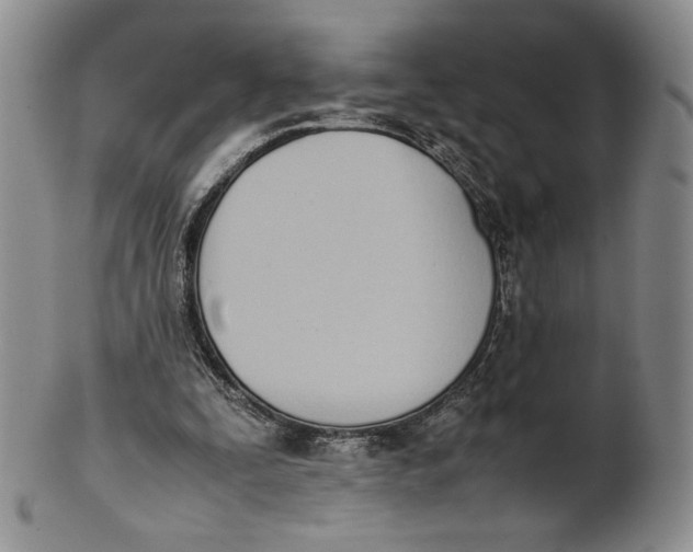 X0000100770295200807101758