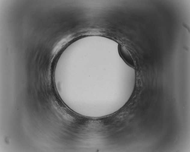 X0000100770296200807101758