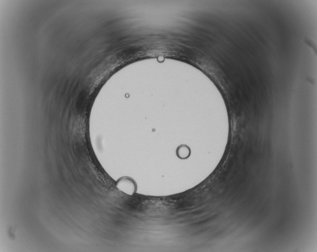 X0000100770297200807101758