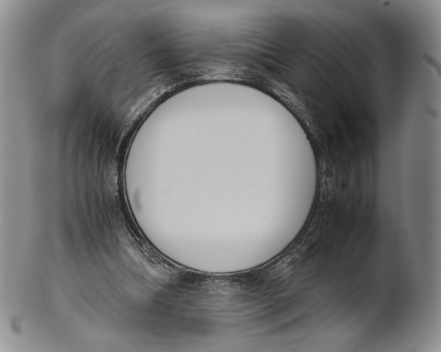 X0000100770298200807101758