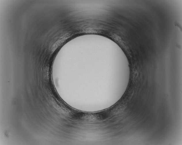 X0000100770299200807101758