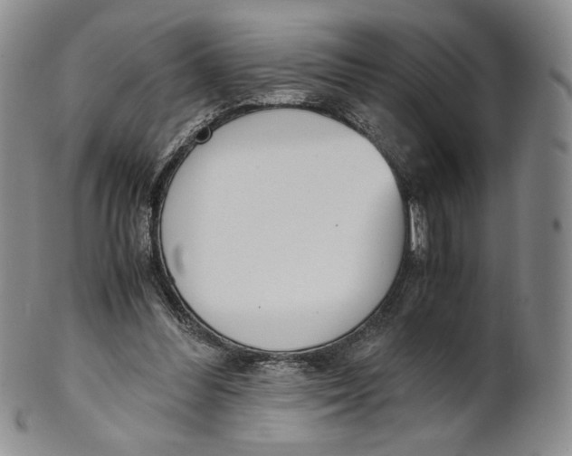 X0000100770300200807101758