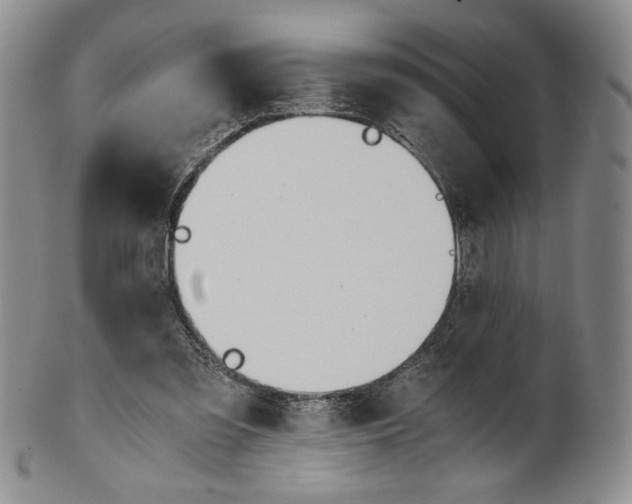 X0000100770301200807101758