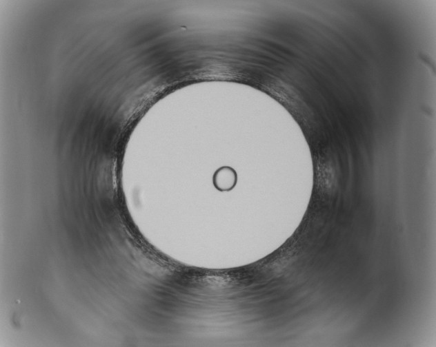 X0000100770302200807101758
