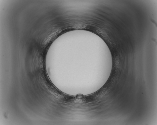 X0000100770303200807101758