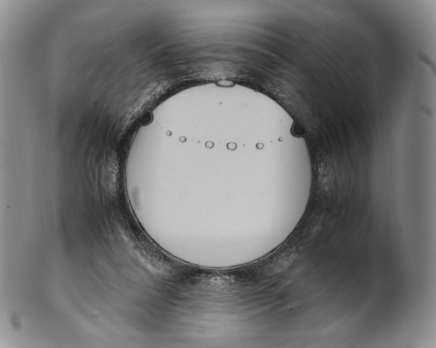 X0000100770304200807101758