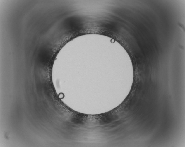 X0000100770305200807101758