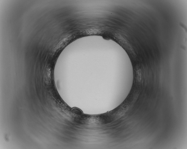 X0000100770308200807101758