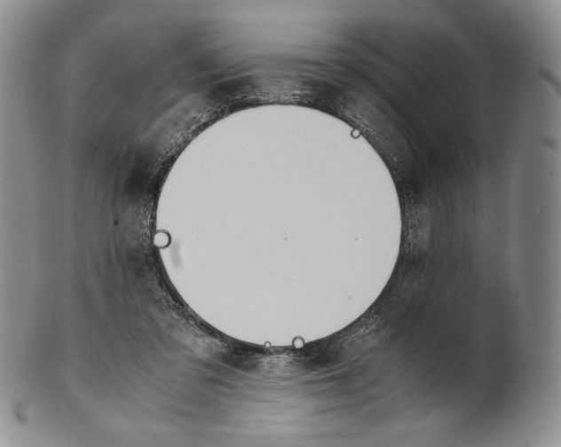X0000100770309200807101758