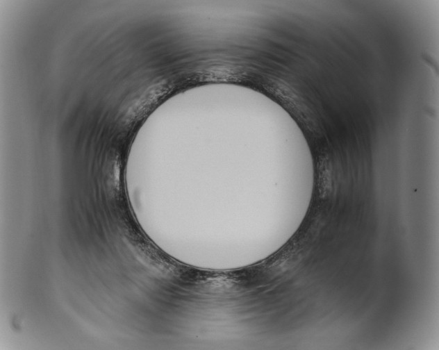 X0000100770310200807101758