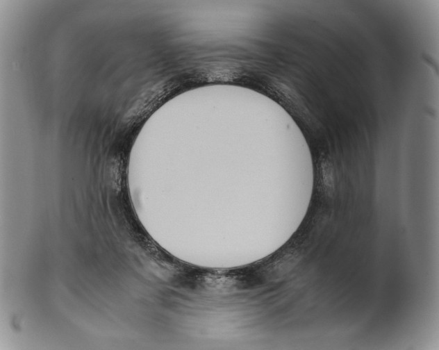 X0000100770311200807101758