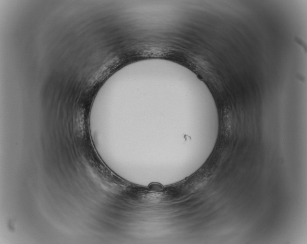 X0000100770312200807101758