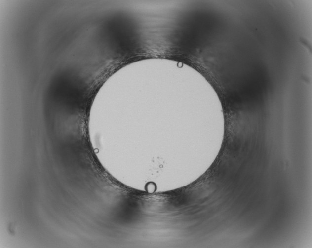 X0000100770313200807101758