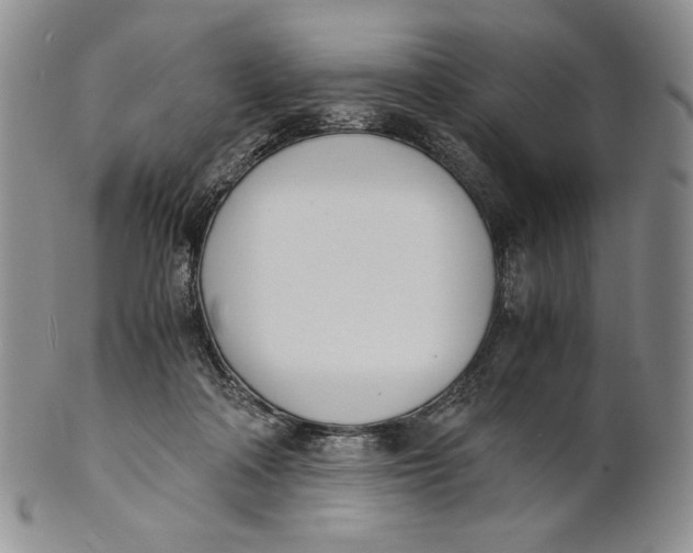 X0000100770314200807101758