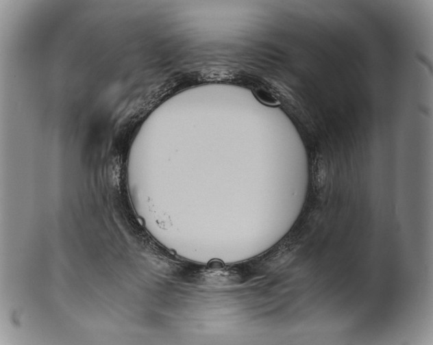X0000100770315200807101758