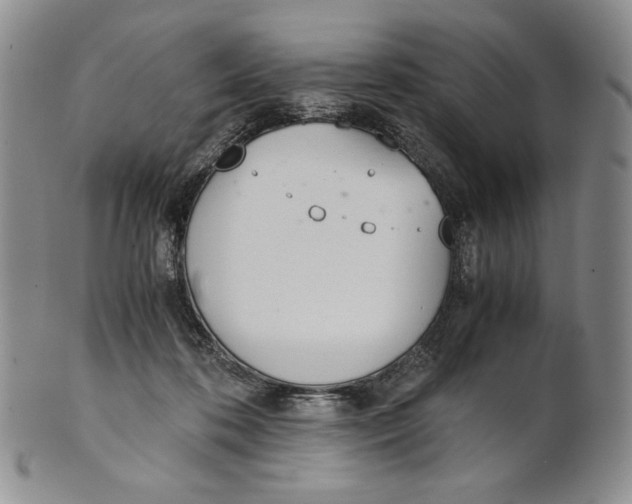 X0000100770316200807101758