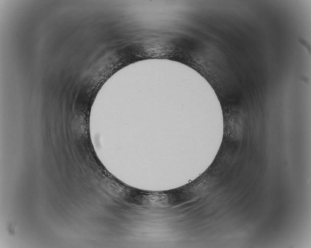 X0000100770317200807101758