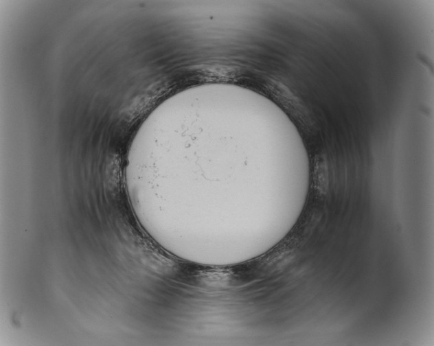 X0000100770318200807101758
