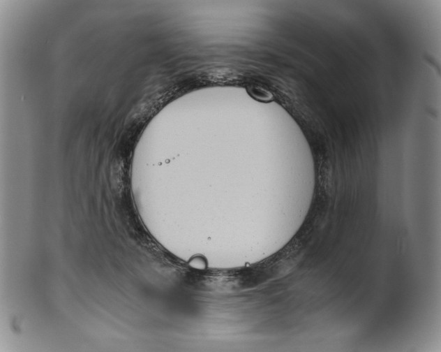 X0000100770319200807101758
