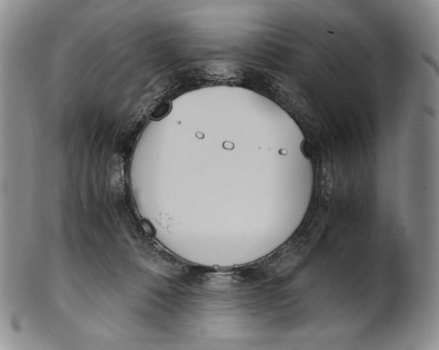 X0000100770320200807101758