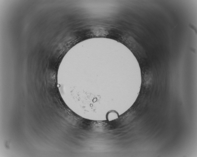 X0000100770321200807101758