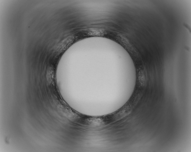 X0000100770322200807101758