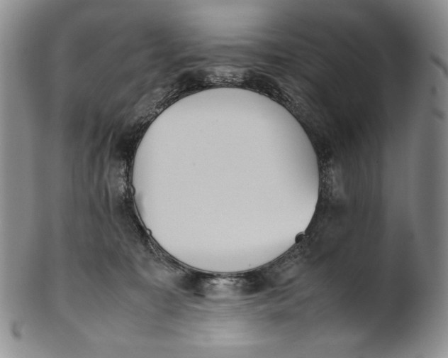 X0000100770323200807101758