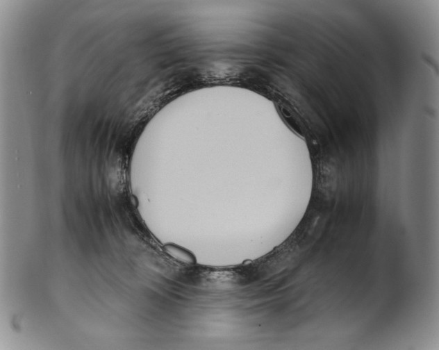 X0000100770324200807101758