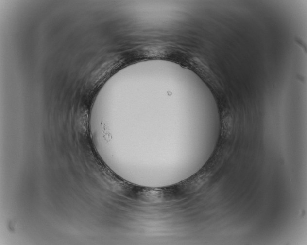 X0000100770325200807101758
