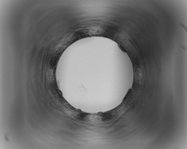 X0000100770327200807101758