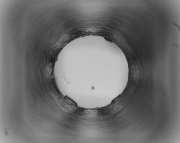 X0000100770328200807101758