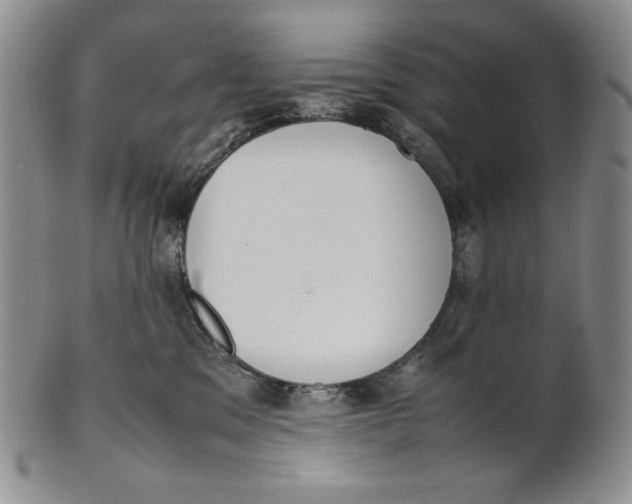 X0000100770329200807101758