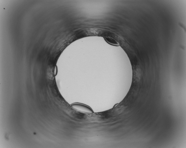 X0000100770331200807101757