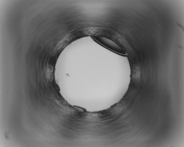 X0000100770332200807101757