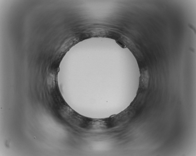 X0000100770333200807101757