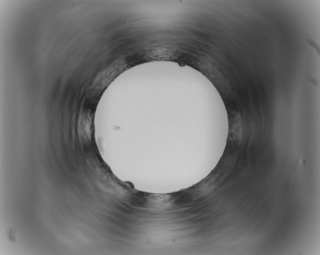 X0000100770334200807101757