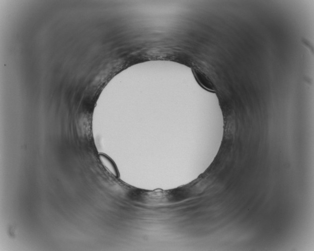 X0000100770335200807101757
