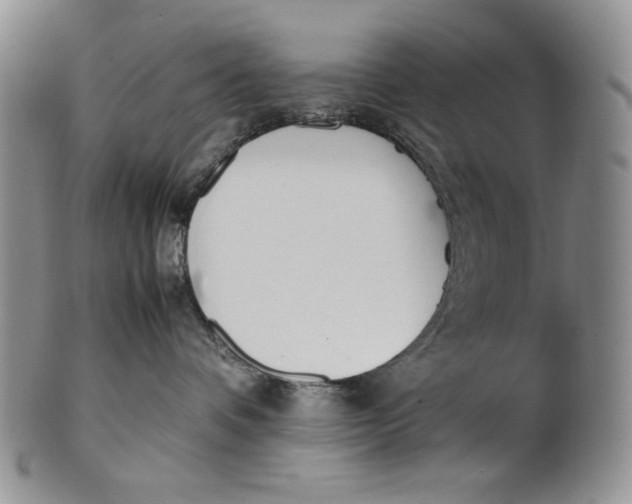 X0000100770336200807101757