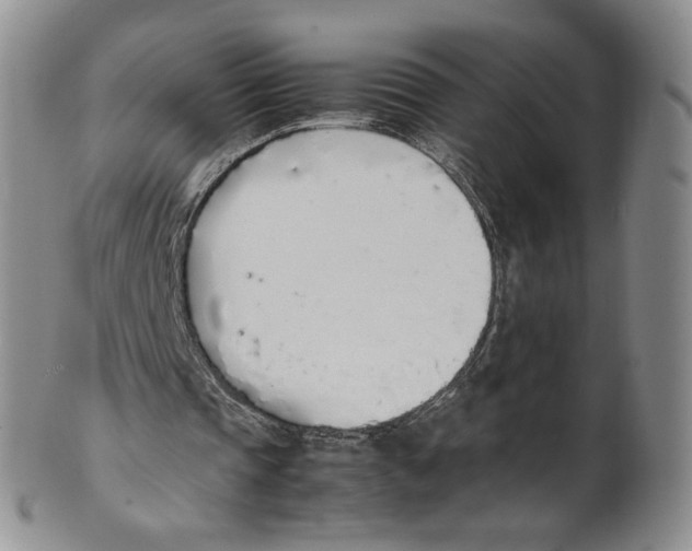 X0000100770337200807101757