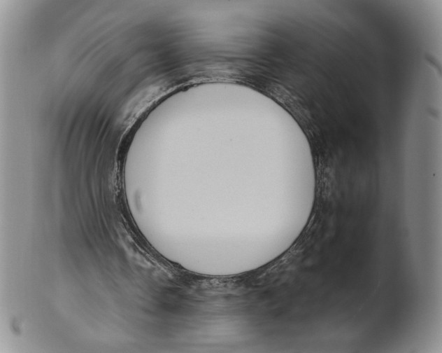 X0000100770338200807101757