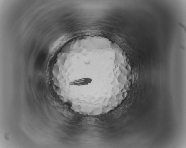 X0000100770339200807101757