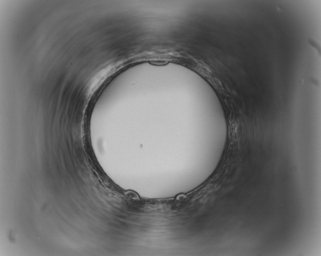 X0000100770340200807101757
