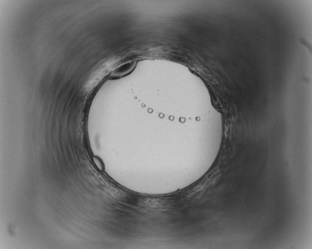 X0000100770341200807101757