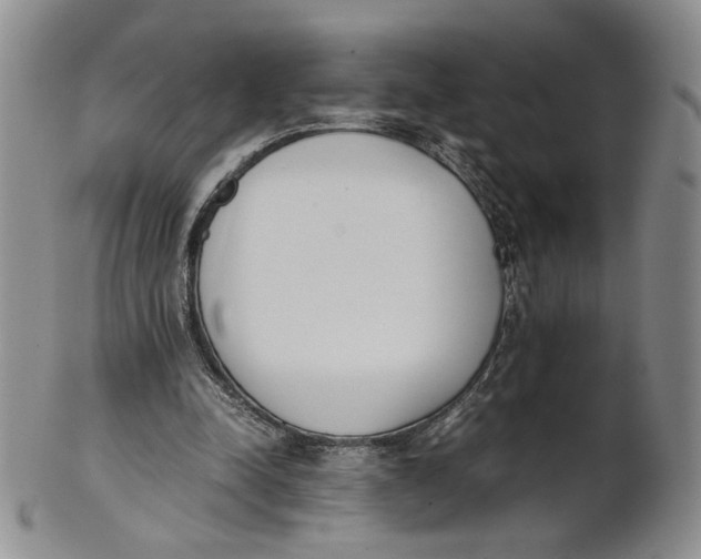 X0000100770342200807101757