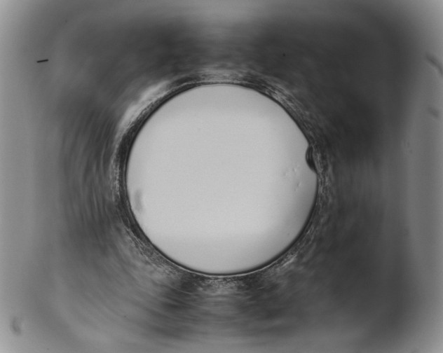 X0000100770343200807101757