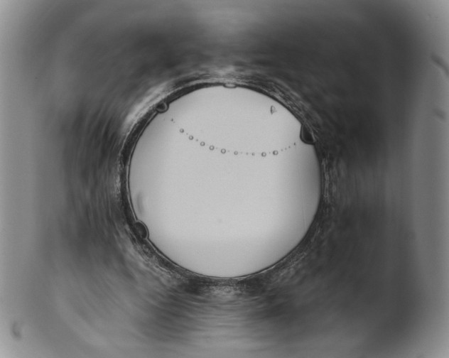 X0000100770344200807101757